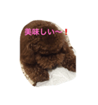 うちのはる（個別スタンプ：5）