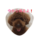 うちのはる（個別スタンプ：6）