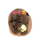 うちのはる（個別スタンプ：8）