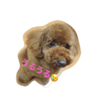 うちのはる（個別スタンプ：9）