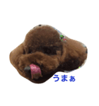 うちのはる（個別スタンプ：10）