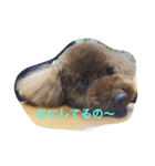 うちのはる（個別スタンプ：12）