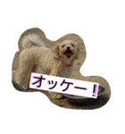 りっちちょこぱんぱーと つー（個別スタンプ：4）