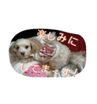 りっちちょこぱんぱーと つー（個別スタンプ：6）