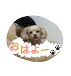 りっちちょこぱんぱーと つー（個別スタンプ：9）
