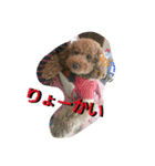 りっちちょこぱんぱーと つー（個別スタンプ：11）