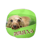 りっちちょこぱんぱーと つー（個別スタンプ：13）