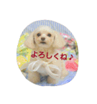 りっちちょこぱんぱーと つー（個別スタンプ：14）