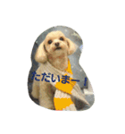 りっちちょこぱんぱーと つー（個別スタンプ：15）