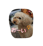 りっちちょこぱんぱーと つー（個別スタンプ：20）
