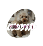 りっちちょこぱんぱーと つー（個別スタンプ：21）