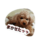 りっちちょこぱんぱーと つー（個別スタンプ：26）
