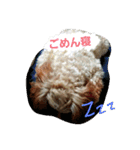 りっちちょこぱんぱーと つー（個別スタンプ：31）