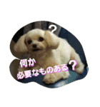 りっちちょこぱんぱーと つー（個別スタンプ：32）