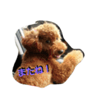りっちちょこぱんぱーと つー（個別スタンプ：37）