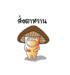 Hed Tai Ban（個別スタンプ：30）