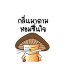 Hed Tai Ban（個別スタンプ：32）