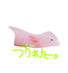 ウーパールーパー パティ♡（個別スタンプ：3）