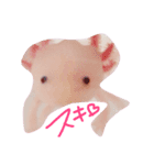 ウーパールーパー パティ♡（個別スタンプ：5）