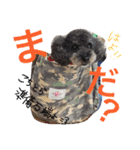 虎太郎のいちにち（個別スタンプ：6）