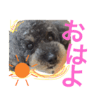 虎太郎のいちにち（個別スタンプ：8）
