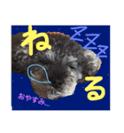 虎太郎のいちにち（個別スタンプ：9）