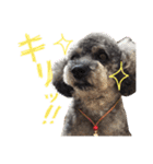 虎太郎のいちにち（個別スタンプ：10）