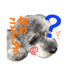 虎太郎のいちにち（個別スタンプ：18）