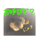 虎太郎のいちにち（個別スタンプ：19）