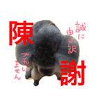 虎太郎のいちにち（個別スタンプ：21）
