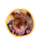 すきすきチョッパー（個別スタンプ：1）