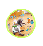 すきすきチョッパー（個別スタンプ：5）