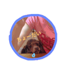 すきすきチョッパー（個別スタンプ：6）