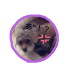 すきすきチョッパー（個別スタンプ：11）