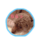 すきすきチョッパー（個別スタンプ：13）