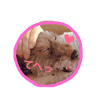 すきすきチョッパー（個別スタンプ：14）
