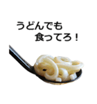 うどん。5（個別スタンプ：11）