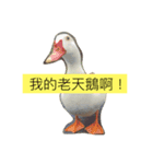 ボービーと愉快な仲間（個別スタンプ：5）