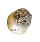 ボービーと愉快な仲間（個別スタンプ：8）