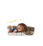 うちのこyutoスタンプ（個別スタンプ：10）