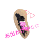 我が家のひめちゃん（個別スタンプ：7）