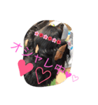 我が家のひめちゃん（個別スタンプ：9）