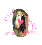 我が家のひめちゃん（個別スタンプ：11）