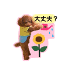 チャコはトイプー？（個別スタンプ：7）