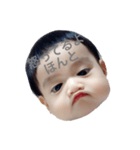ふてぶてりん（個別スタンプ：1）