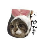 鎌田さんちのねこ（個別スタンプ：18）