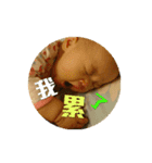 Sally ＆ Mars daughter（個別スタンプ：7）