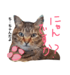 あいりゅう5（個別スタンプ：8）
