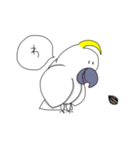 キバタンのぴっけ（個別スタンプ：5）