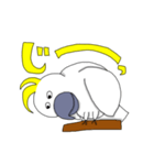 キバタンのぴっけ（個別スタンプ：9）